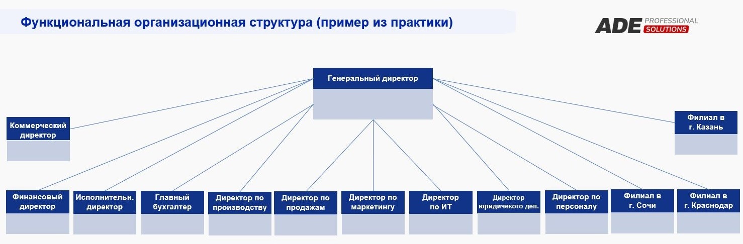 Схема Функциональной организационной структуры (пример из практики)